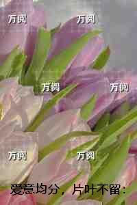 镇妖博物馆语录