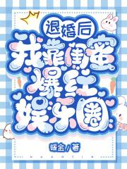 时九念傅景琛的
