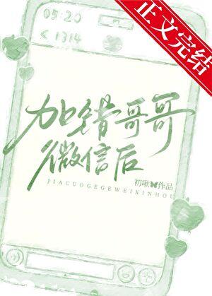 加错哥哥微信后