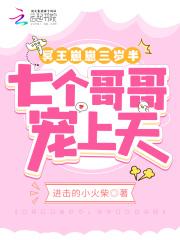 天命王朝电视剧