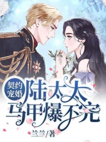 全职高手电视剧