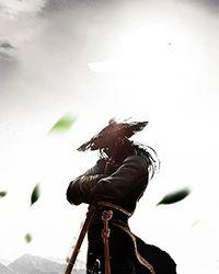 从野法师到巫师王免费