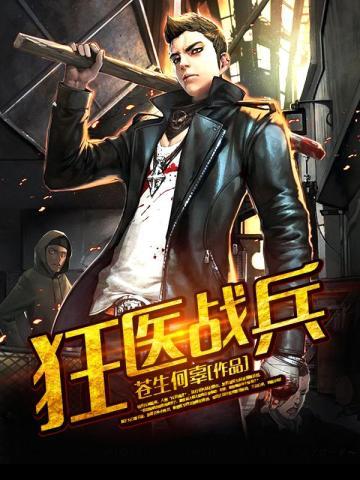 盖世医仙的境界排名是什么