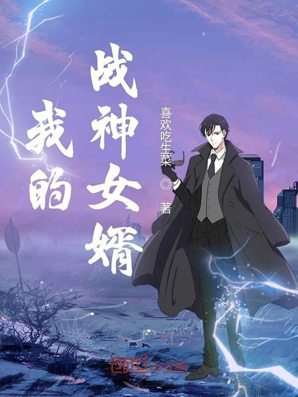 寻龙风水师流云飞袖完结了吗