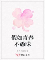 奇点遗民txt