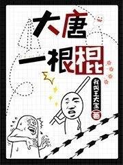 女神的上门贵婿全文阅读