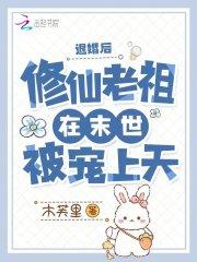 精灵之沙暴领主 正经训练家免费阅读