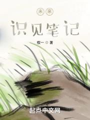 精灵之沙暴领主正经训练师笔趣阁