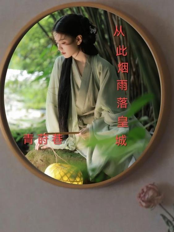 微雨红尘电视剧