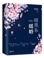 官途搭上女领导之后免费阅读全文