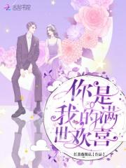 卫颜冷夜霆是什么
