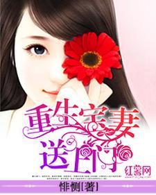东宫互演手册免费阅读