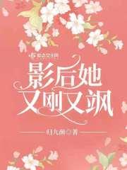 术师手册承认抄袭