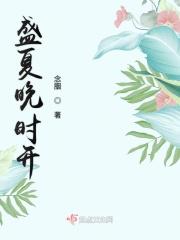 重生之狂暴火法看不下去