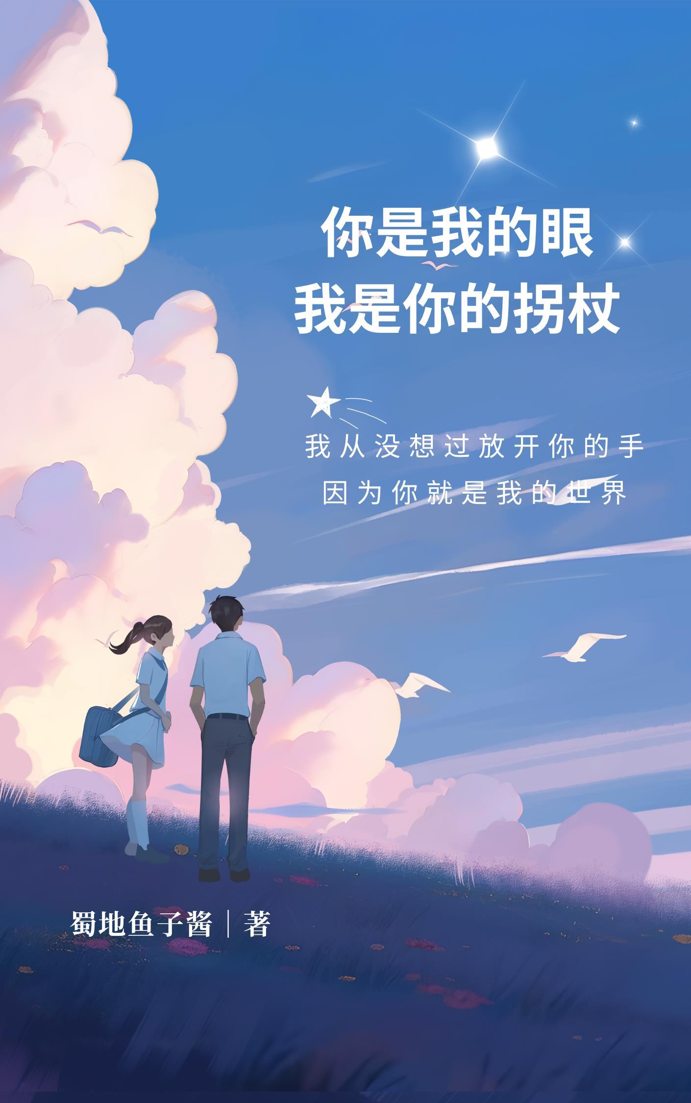 谢昭昭萧云祁书名