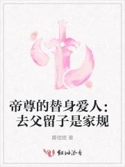 长风有归处讲了什么