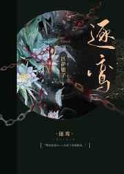 叶辰叶轻舞是什么名字