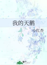 主角叶辰叶轻舞