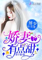 修仙界网恋TXT